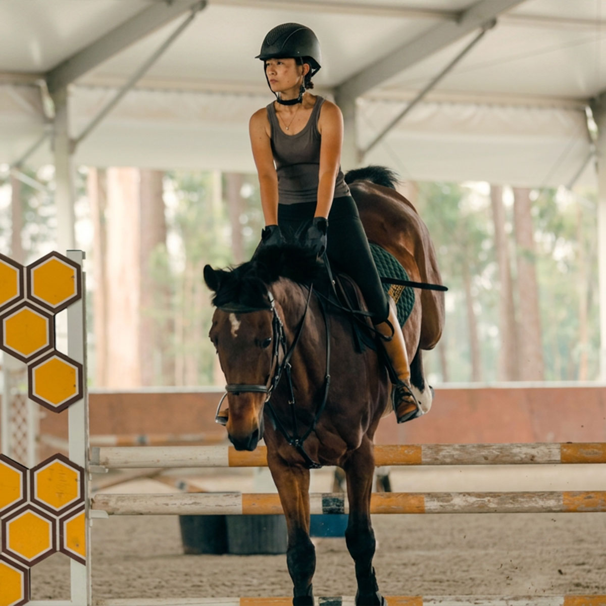 Competition show jumping
