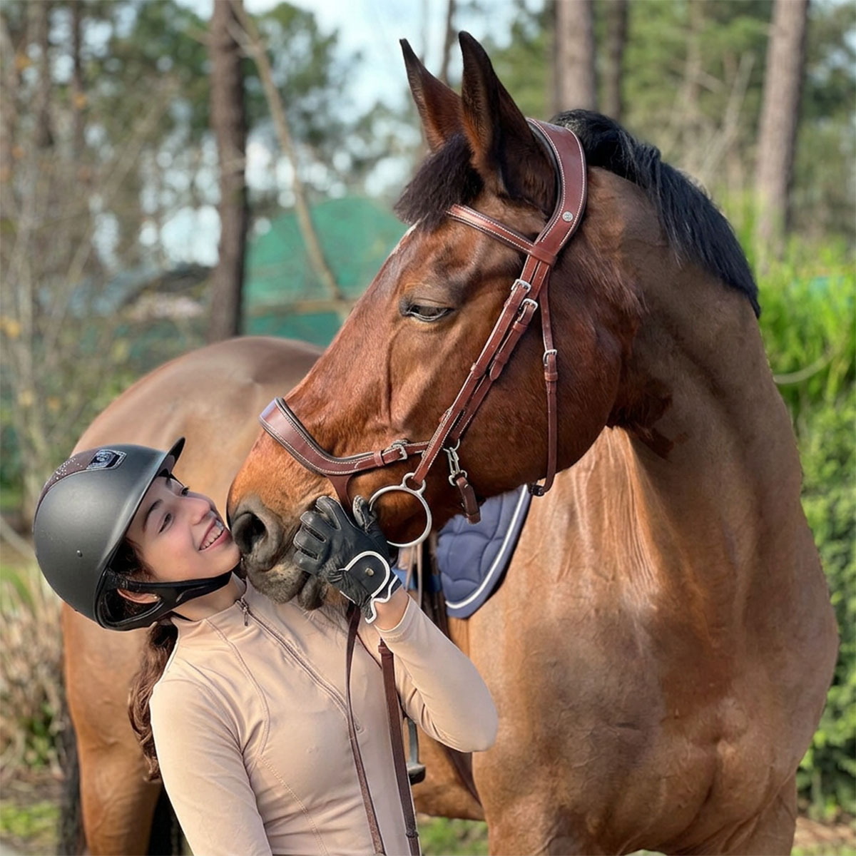 Horse in a Portuguese field