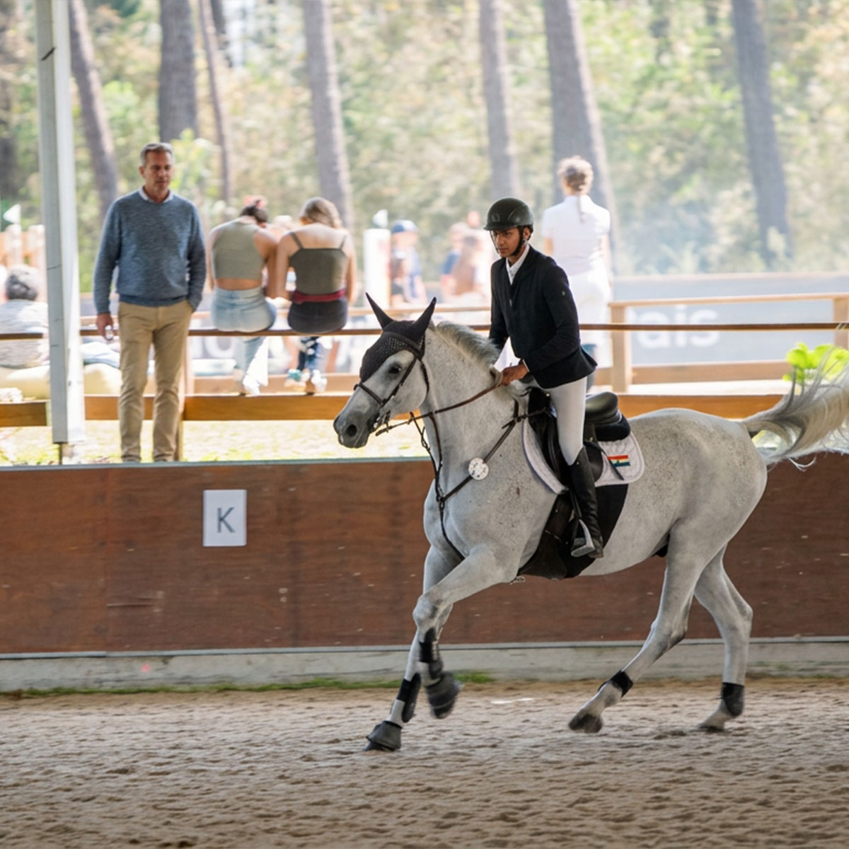 Show jumping training